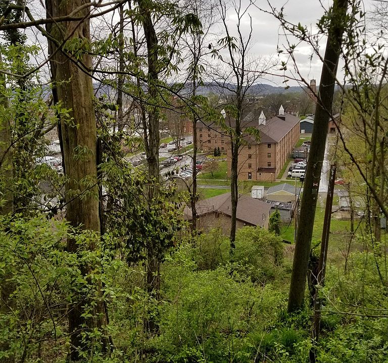 2nd image of 85 Carlisle Pl