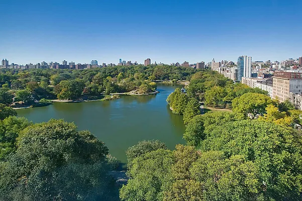 Rented by Vista Global Property Solutions | media 3