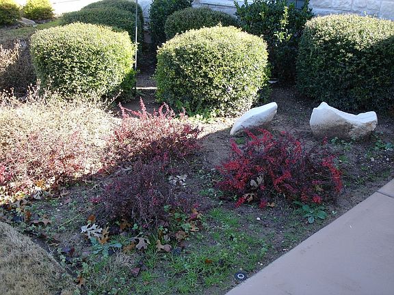 landscaping by front entry