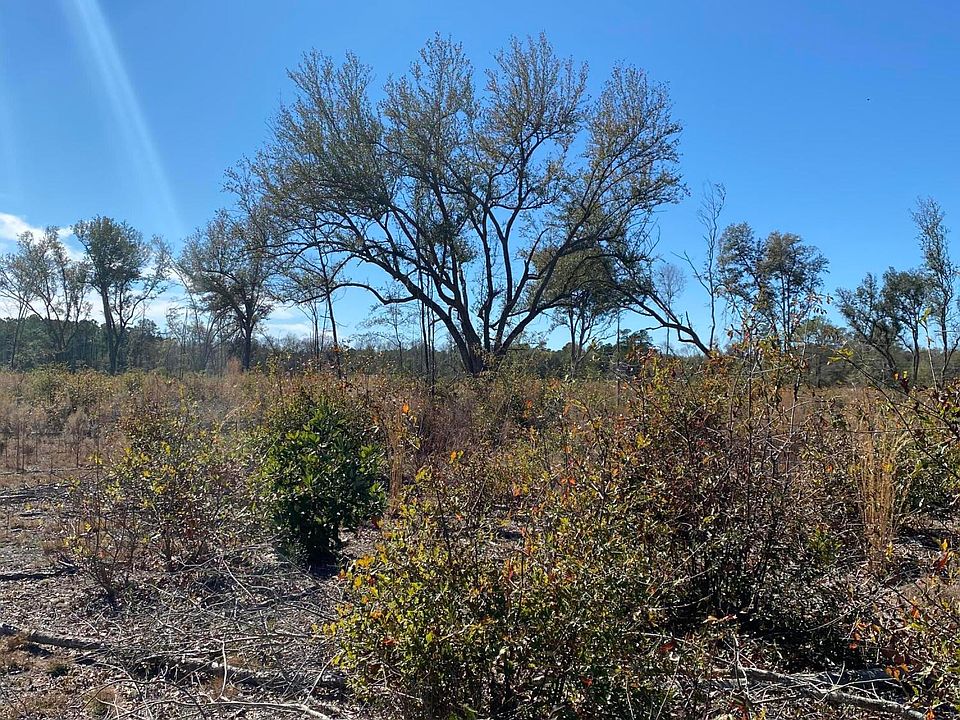 2nd image of 2 Zion Rd