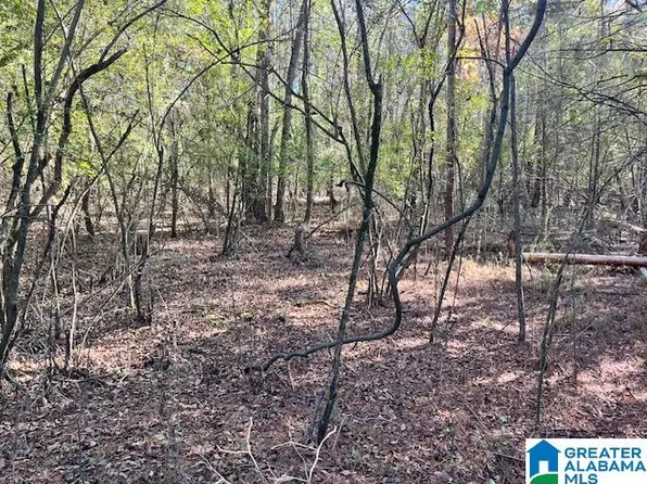 1571 Wolf Creek Rd N #4, Pell City, AL 35125