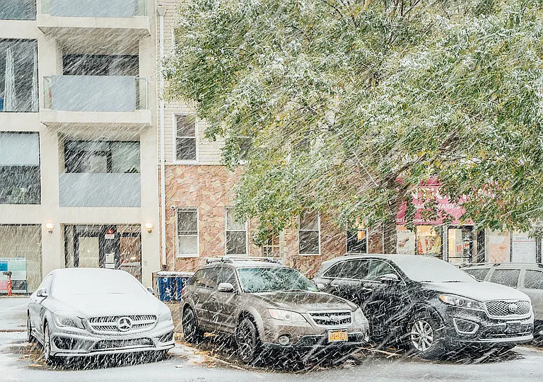 31 Montrose Ave #2M — Photo 9