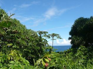 Government Beach Rd LOT 45, Pahoa, HI 96778