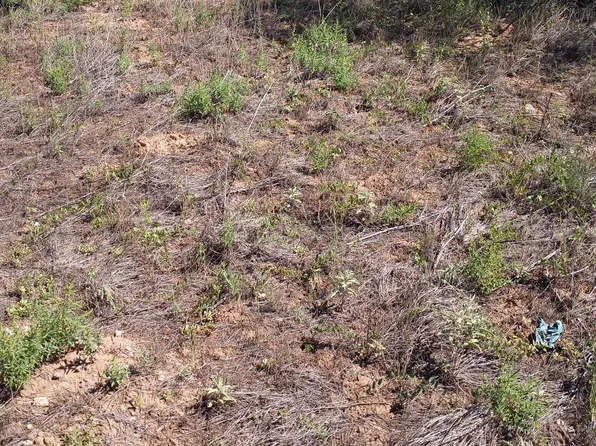 0 John Glen St, Moriarty, NM 87035