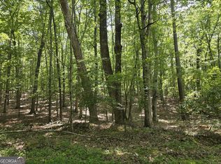 0 Cobb Mountain Rd, Buchanan, GA 30113