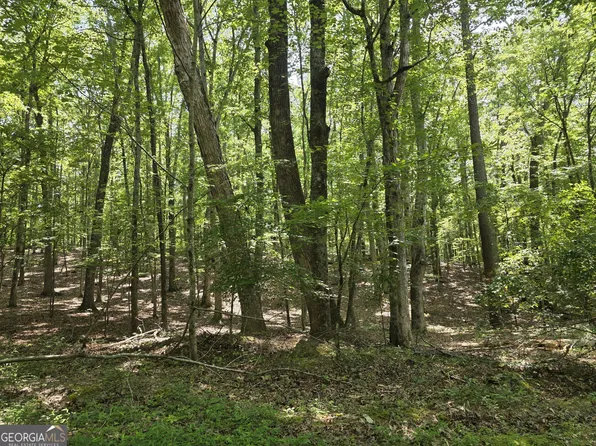 0 Cobb Mountain Rd, Buchanan, GA 30113