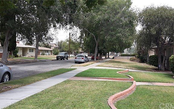 Tree Lined Street
