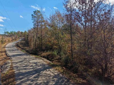 300 Jimmie Coleman Rd, Jessieville, AR, 71949