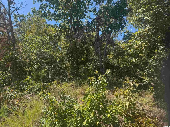 0 Wick Ln, Mountain Home, AR 72653