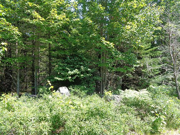 3rd image of Lot 11 Bailey Mountain Road