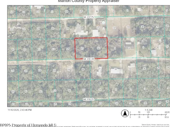 0 NE 236th Ln, Fort Mc Coy, FL 32134