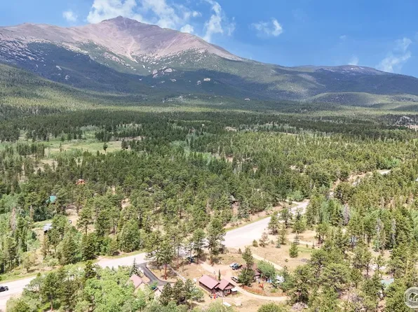 11563 Peak To Peak Dr, Allenspark, CO 80510