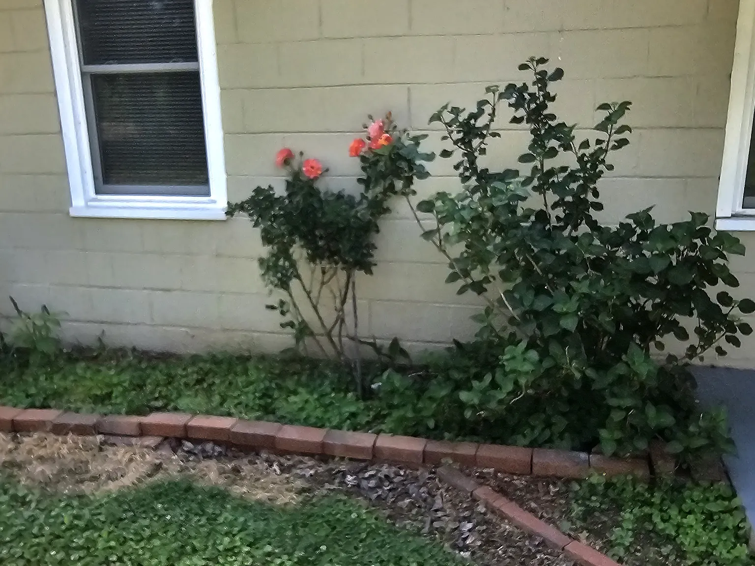 100 Coley Cir — Photo 3