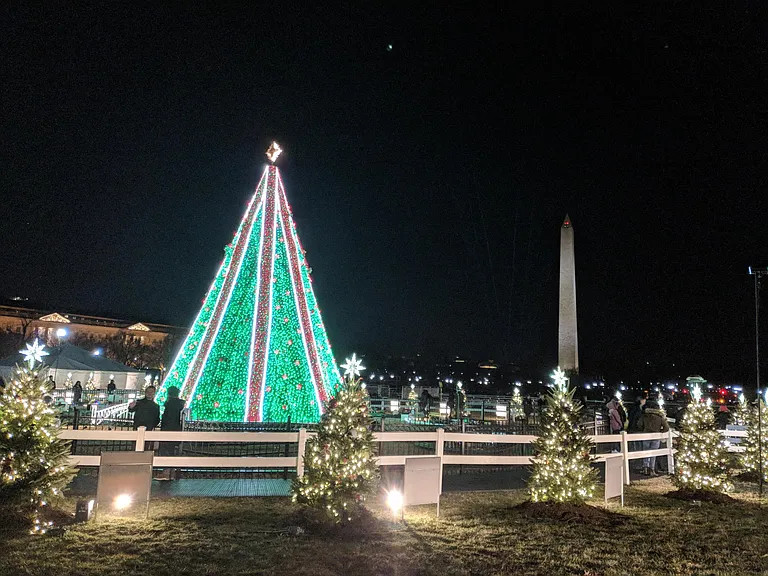 The annual White House Christmas tree is a must-see.