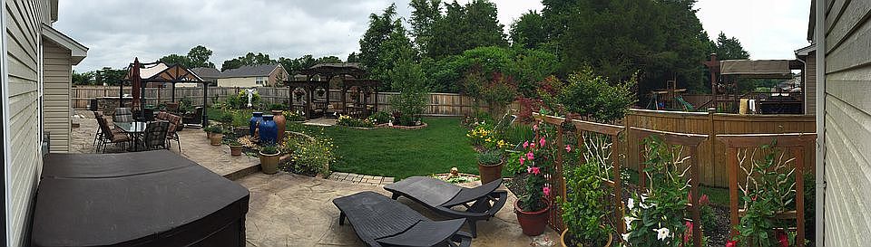 Backyard paradise!!