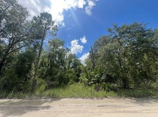 LOT 11 NW 11th Ave LOT 11, Bell, FL 32619
