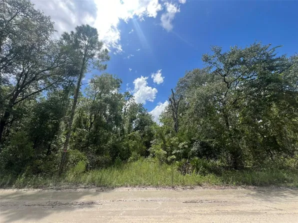 LOT 11 NW 11th Ave Lot 11, Bell, FL 32619