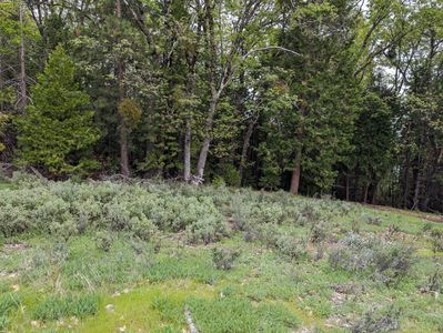 16805 Jones Ridge Rd, Grass Valley, CA, 95945