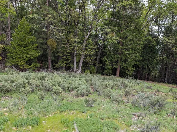 16805 Jones Ridge Rd, Grass Valley, CA 95945