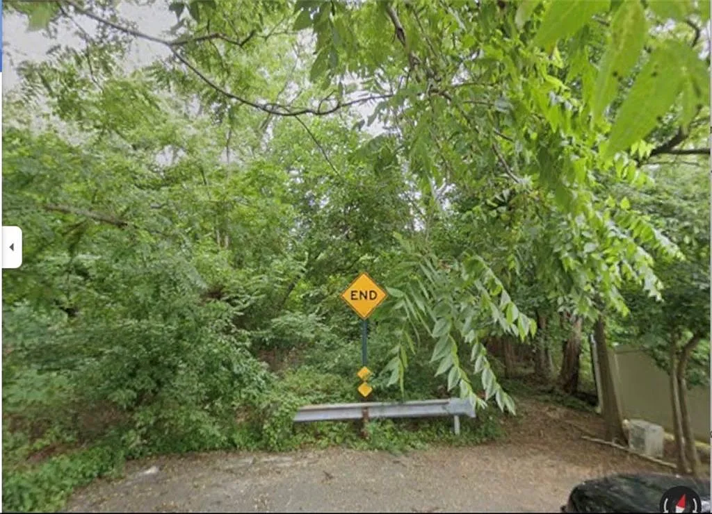 0 Lipsett Ave photo 1