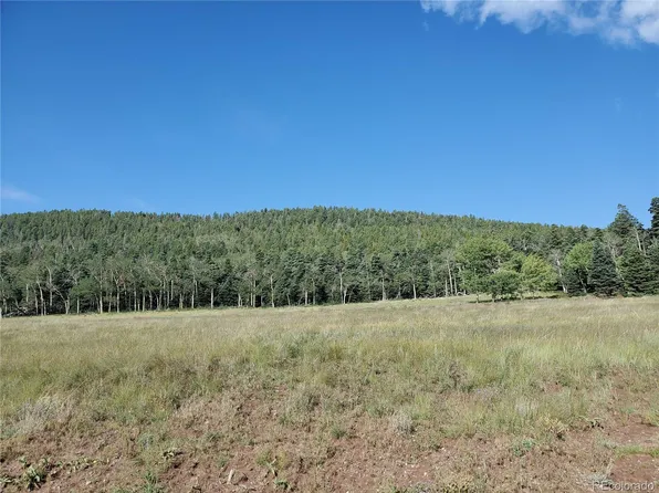 2362 Benton Place LOT 2362, Fort Garland, CO 81133