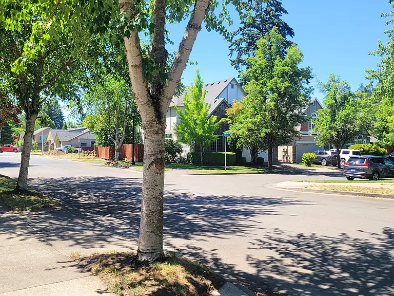 Front road