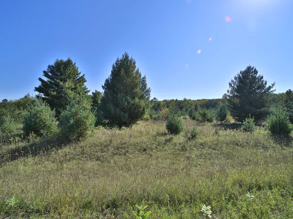 Partridge Ct, Browerville, MN 56438