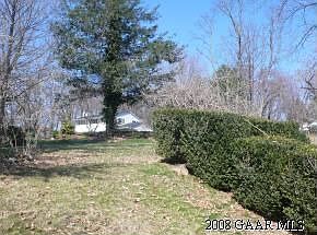 another view of backyard