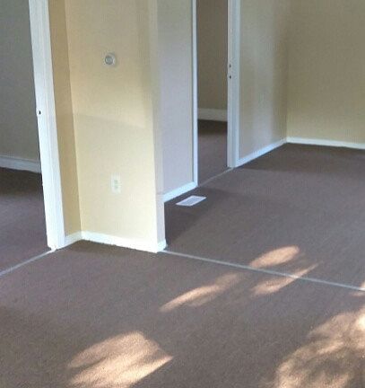 2nd image of 253 Gold St #1