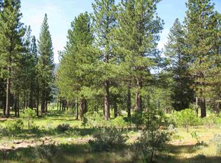 581 Redtail Loop Rd, Clio, CA 96106