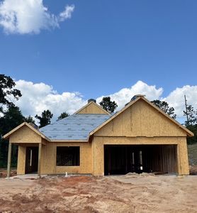 205 Collier Ct, Auburn, AL, 36830