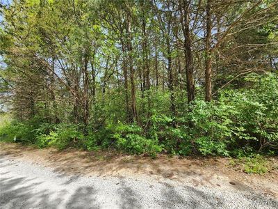Wayside Dr, Catawissa, MO, 63015