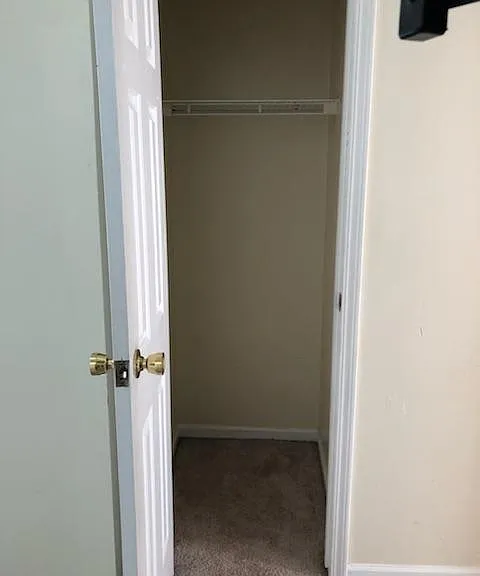 307 Baynes St #7 — Photo 6