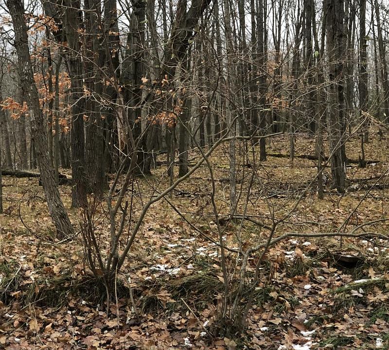 1st image of 10462 Mountain View Trl
