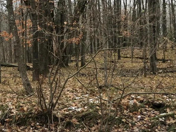 10462 Mountain View Trl, Stanwood, MI 49346