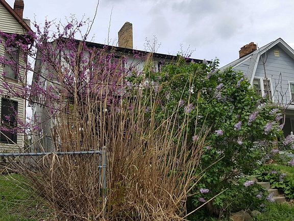 2nd image of 482-484 Oakland Ave