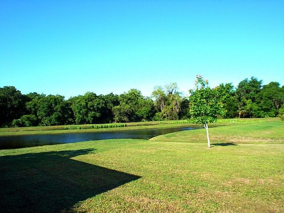 Beautiful back yard and lake