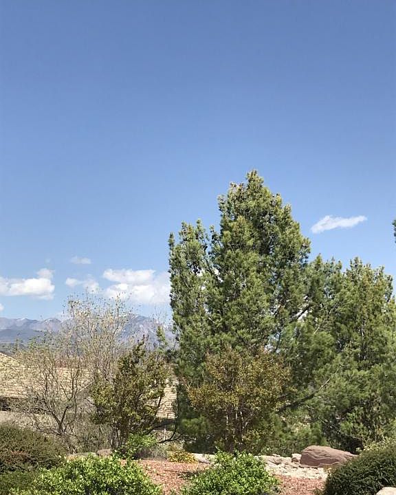 1st image of 221 Emeraud Dr Unit 20