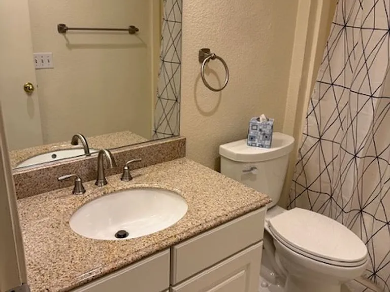 10 White Lily Ct — Photo 21
