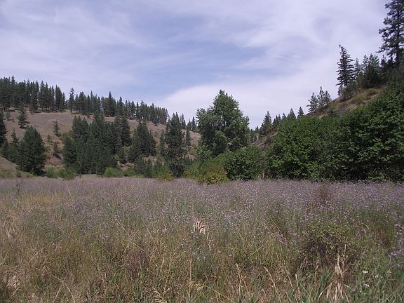5th image of Nka Coon Creek
