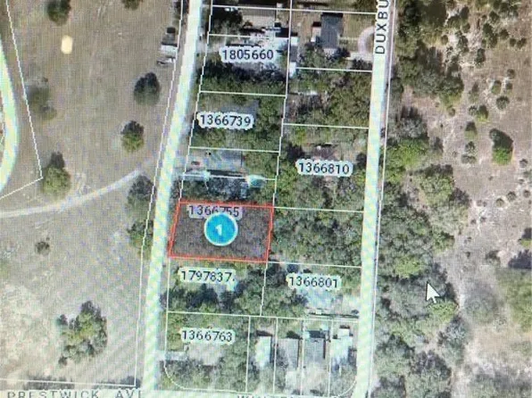 0 Prestwick Ave, Sorrento, FL 32776