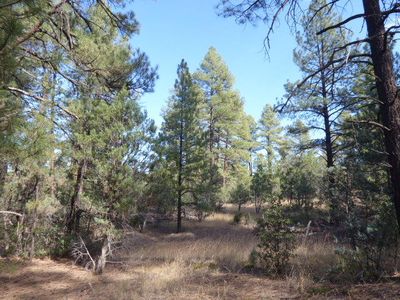 33 W Forest Svc Rd #200, Young, AZ, 85554