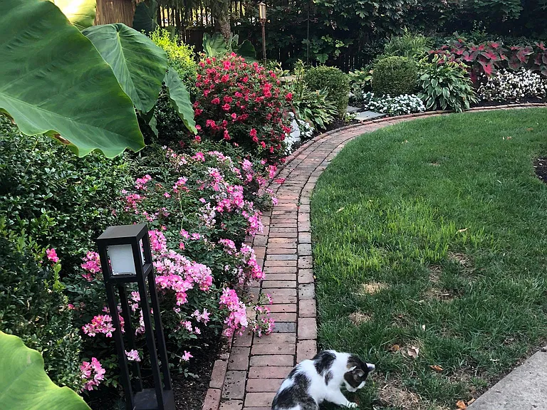 Beautiful Backyard. All grounds Fully Maintained