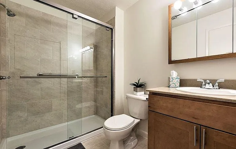 Contemporary Bathroom Style with Walk-in Shower Option