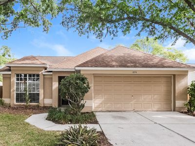 1006 Bloom Hill Ave, Valrico, FL, 33596