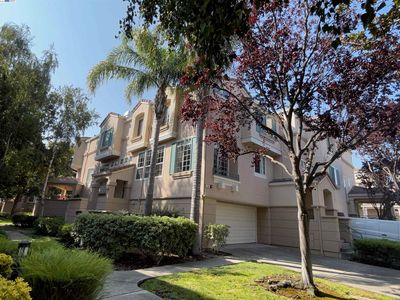 430 Alegra Ter, Milpitas, CA, 95035