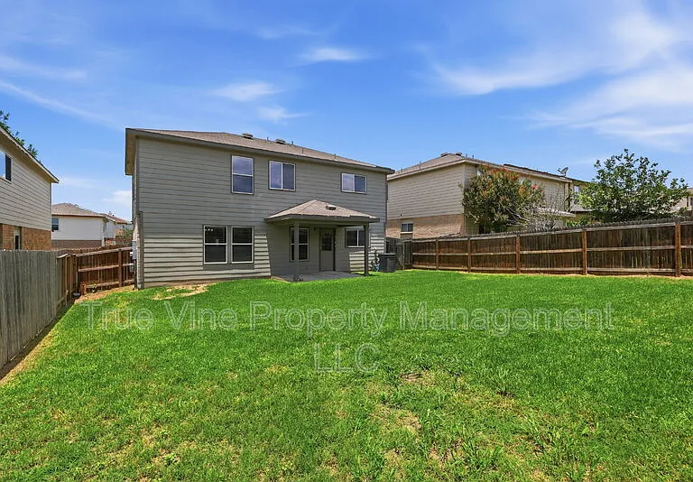 136 Texas Mulberry — Photo 26