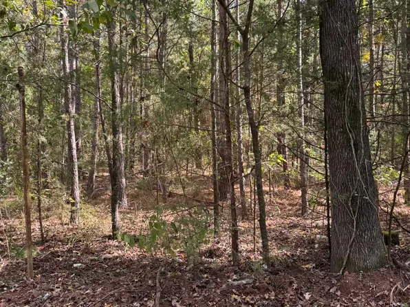 7248 Ginger Rd, Gilmer, TX 75644