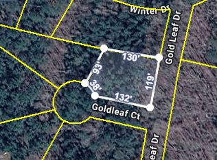0 Gold Leaf Dr, Grantville, GA 30220