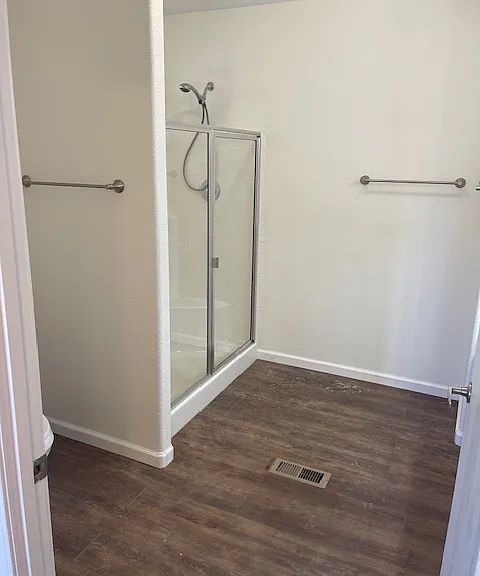 Master Bath Shower